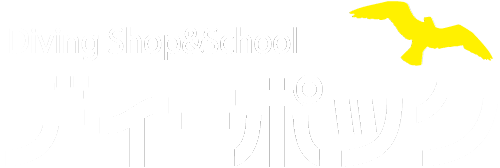 ダイビングライセンスであるCカードの取得をバックアップする名古屋市瑞穂区のダイビングショップ