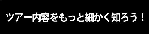 詳細はこちら